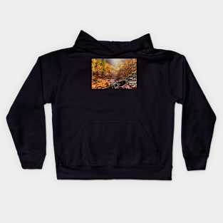 Trail to Emerald Pools Kids Hoodie